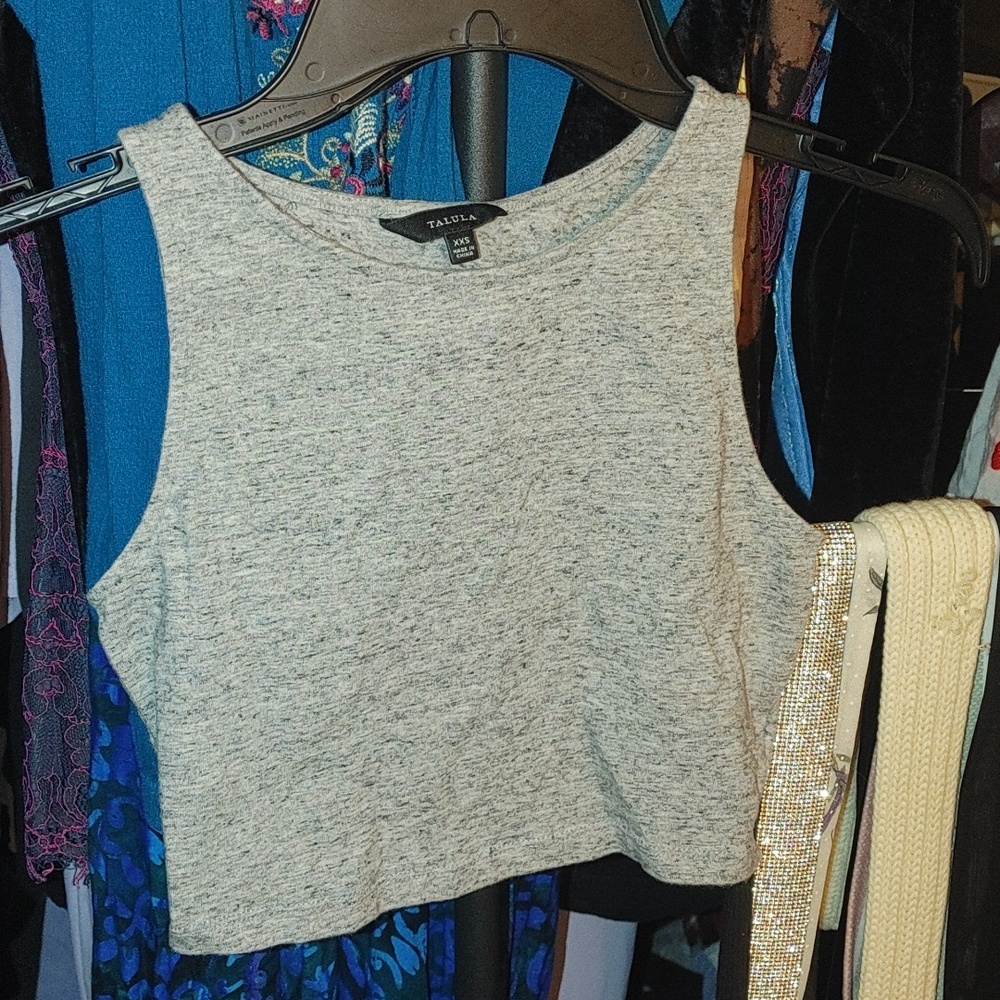 Talula Gray Crop Top